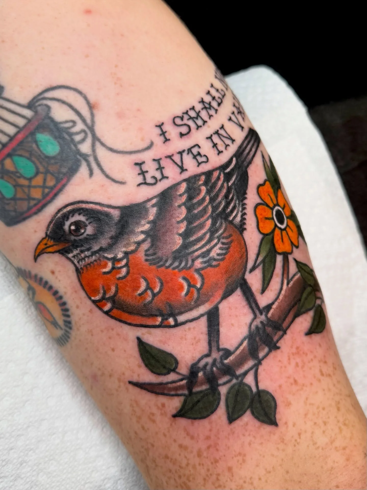 robin with a quote from Emily Dickinson for Mike 🪺✨ it wraps a bit, so swipe to see the best photo I could get of the whole thing together even though it comforts the robins head a little hehe 
thank you so much for your trust with this one Mike! It