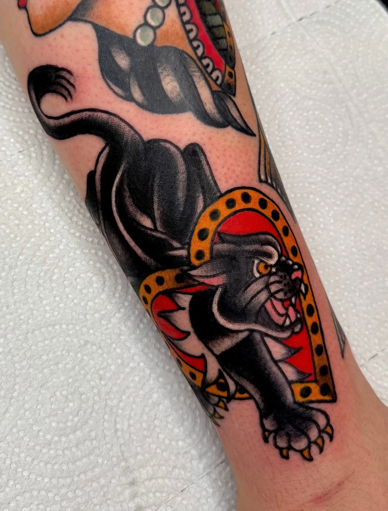 chipping away at Carly&rsquo;s arm before the big move! thank you so much for your trust, patience and always being a dream to have in the studio! I appreciate you! swipe to see a mostly healed one from last time 😤 

booking link is in my bio if you