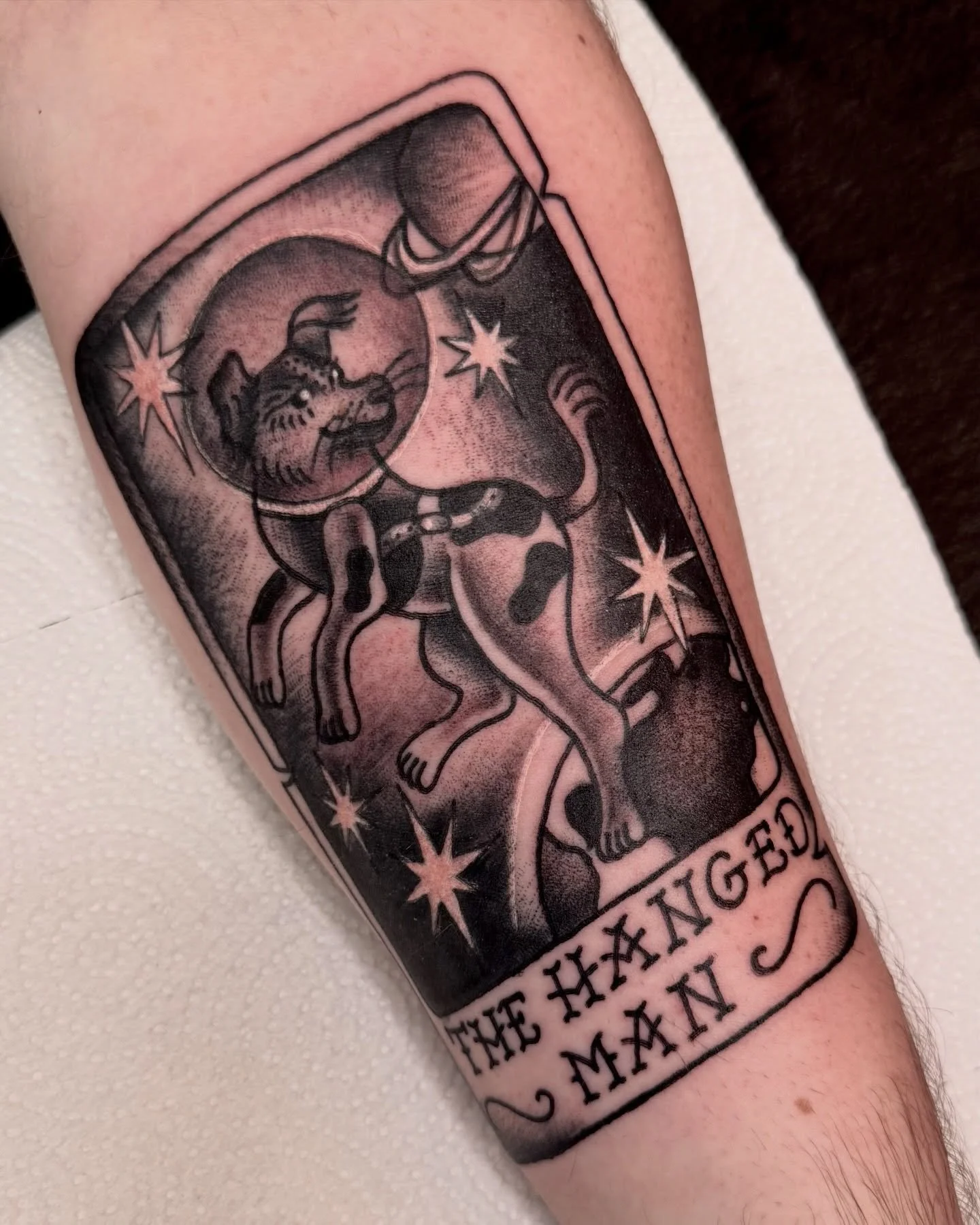 the hanged man tarot sporting a memorial for our favorite space pup Laika 💫💔 you deserved so much better my poor girl. thank you for the super fun concept and session Kyle! It was lovely chatting with you and your sweetie! happy healing! 

link is 