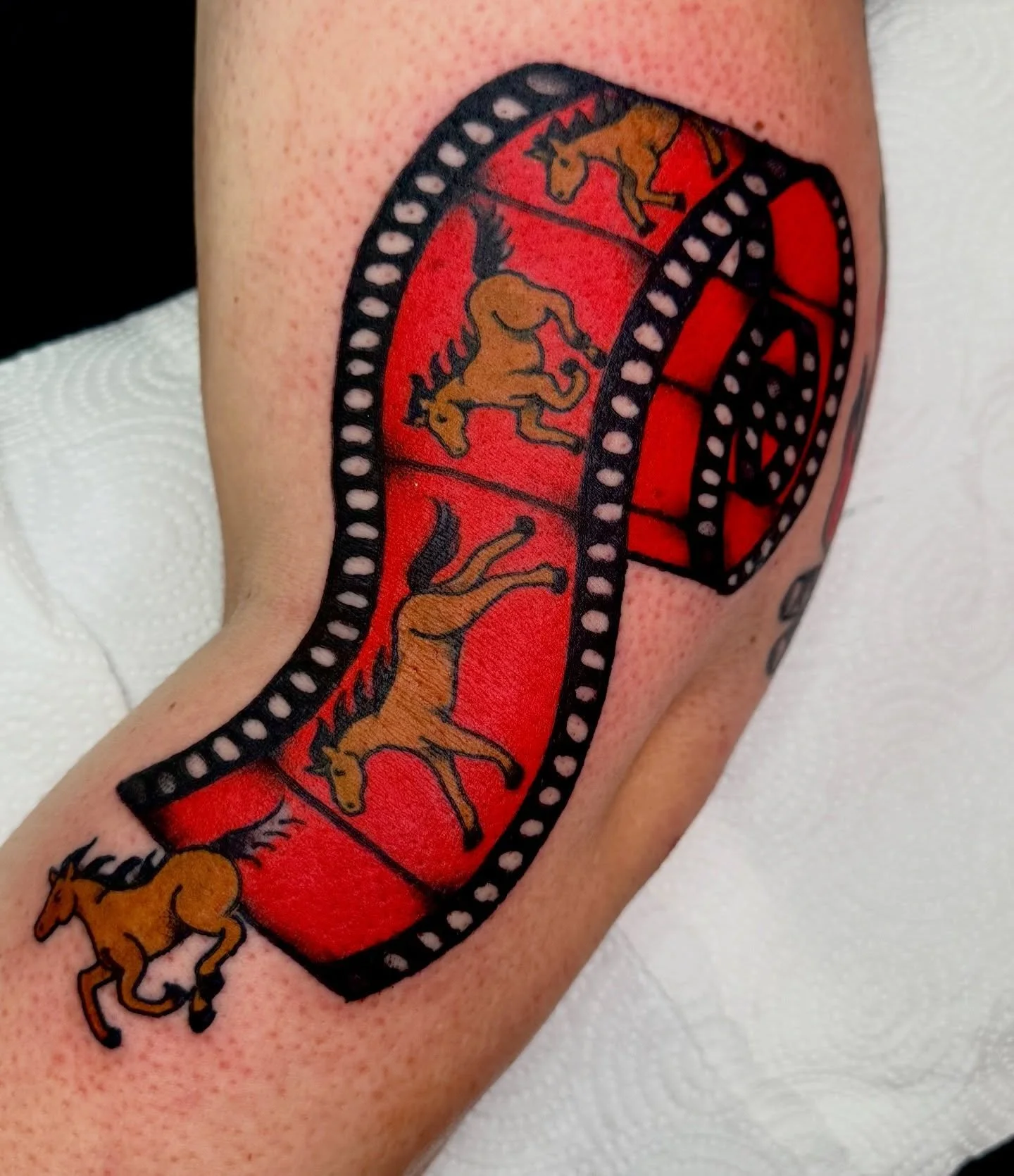 had a wonderful time with this horse and film concept brought to me by Kristen! thank you so much for your patience and kindness, it was so lovely to meet and tattoo you! happy healing! 🐎🔴

I&rsquo;ve got a few weekday spots left in June, and am bo