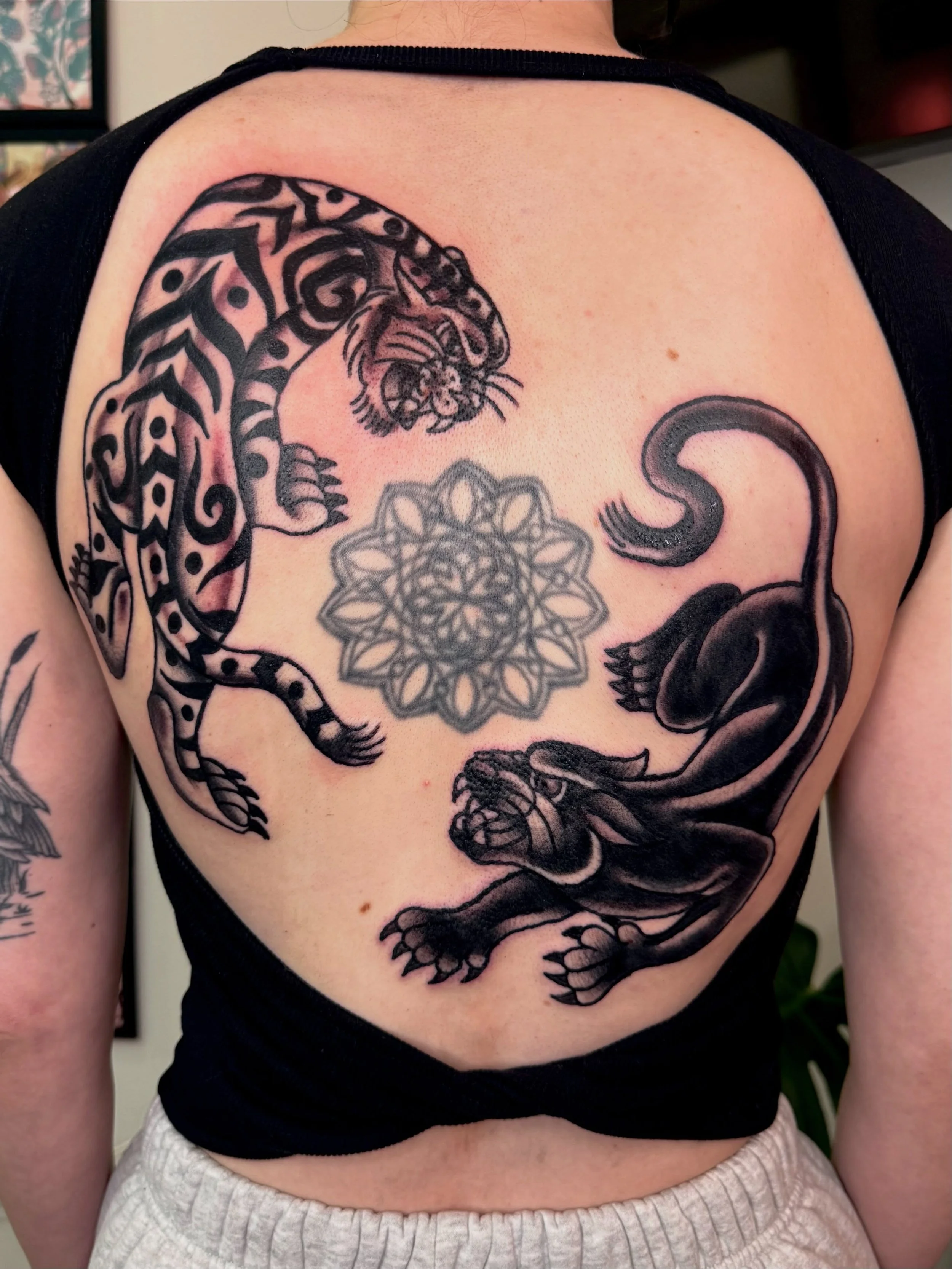 a couple of furry feline additions to Liz&rsquo;s mandala back tattoo (not done by me) thank you so much for your trust and patience! It was so lovely to meet and tattoo you! Happy healing! 💫

I&rsquo;m always happy to place your new tattoo to compl