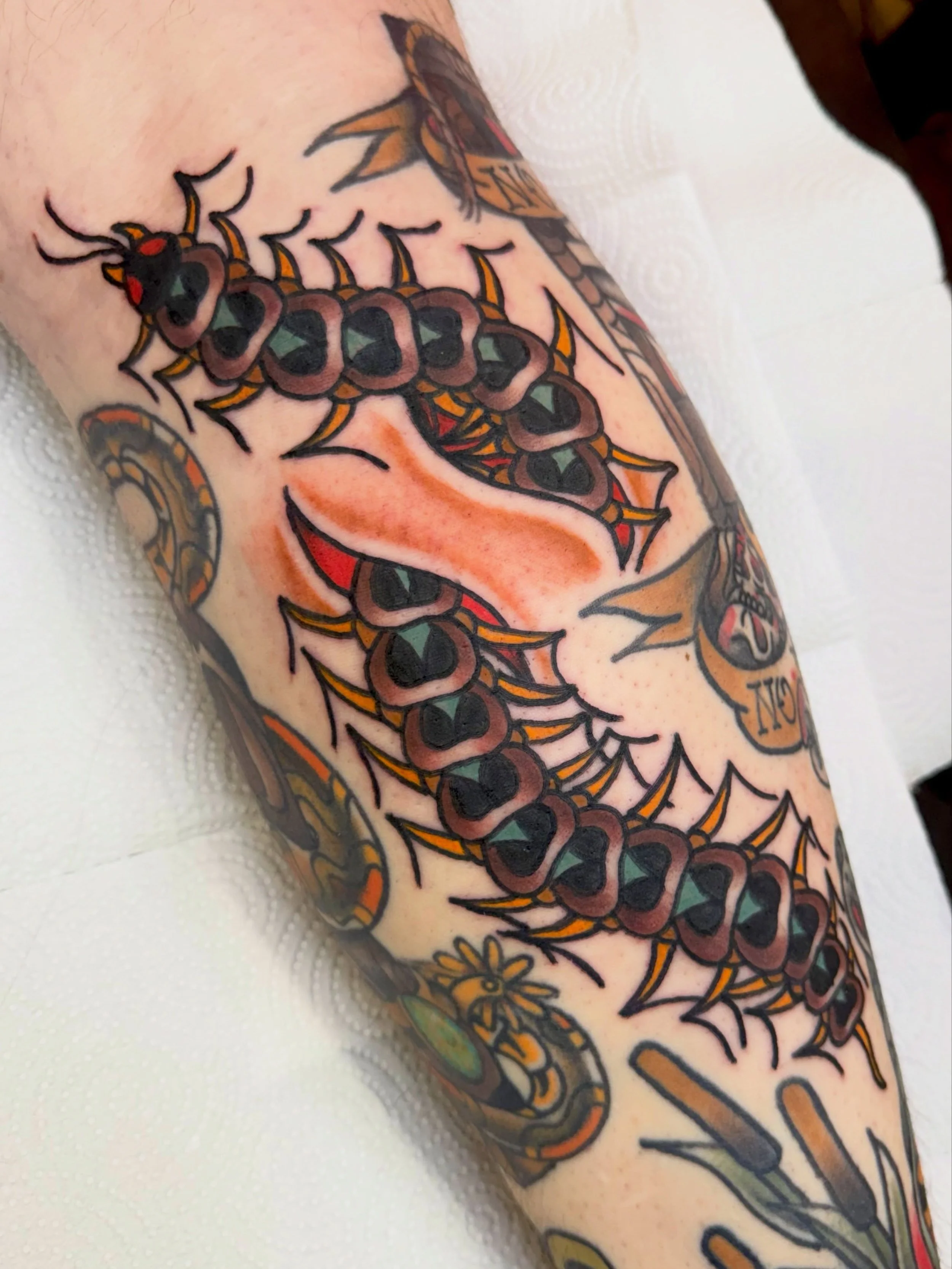 creepy crawly gap filling dude for Gabe! thank you so much for your trust and patience &mdash; it&rsquo;s always such a joy to have you and Adriel in the studio! 💫 all other tattoos around it also healed and by me &mdash; I can&rsquo;t believe I hav