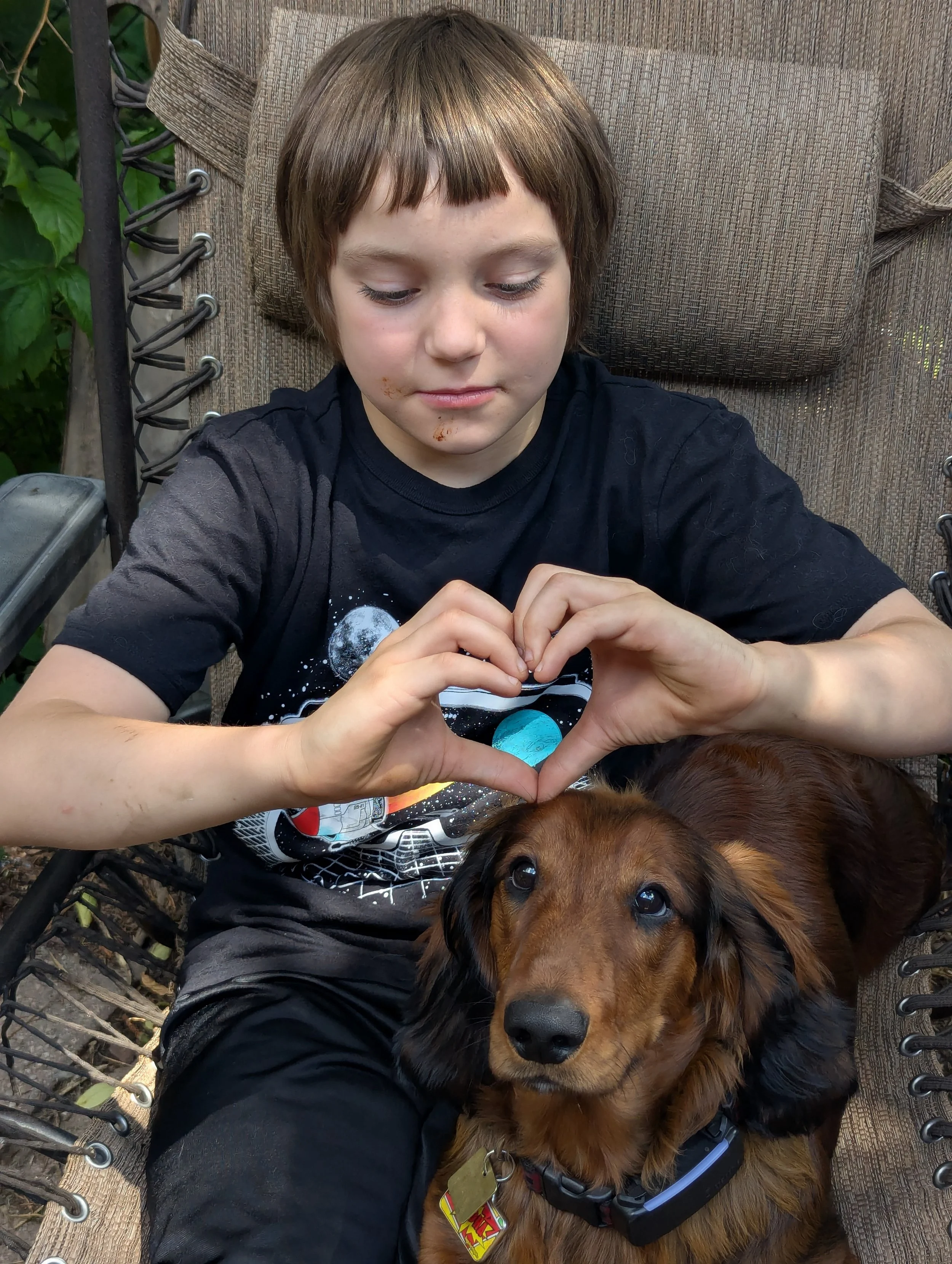 Long haired standard dachshund sits in a chair with his handler who put a hand heart over his head. Dog is red brown coloured with black tips on his ears and tail.