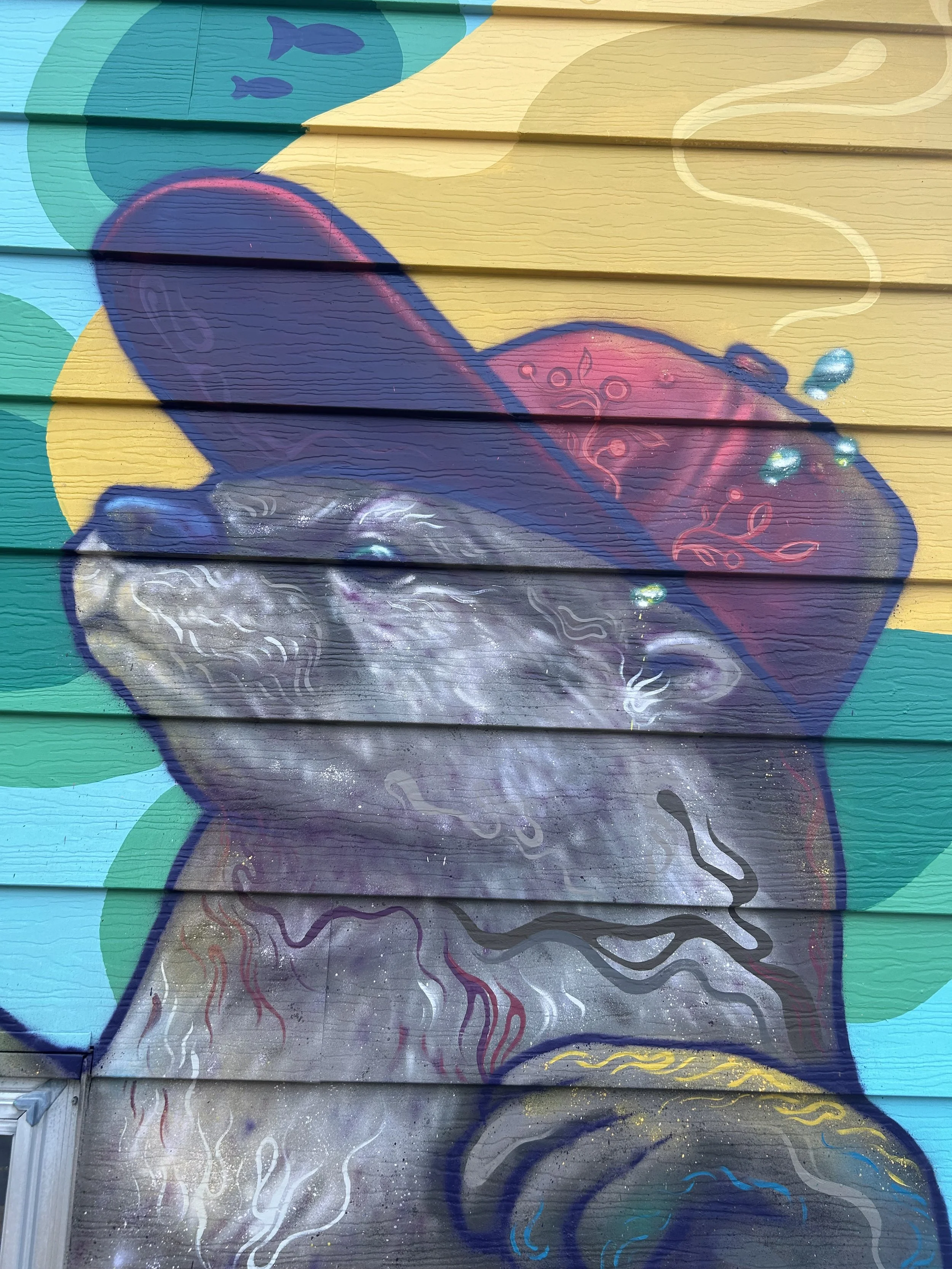 IMG_6613.jpeg