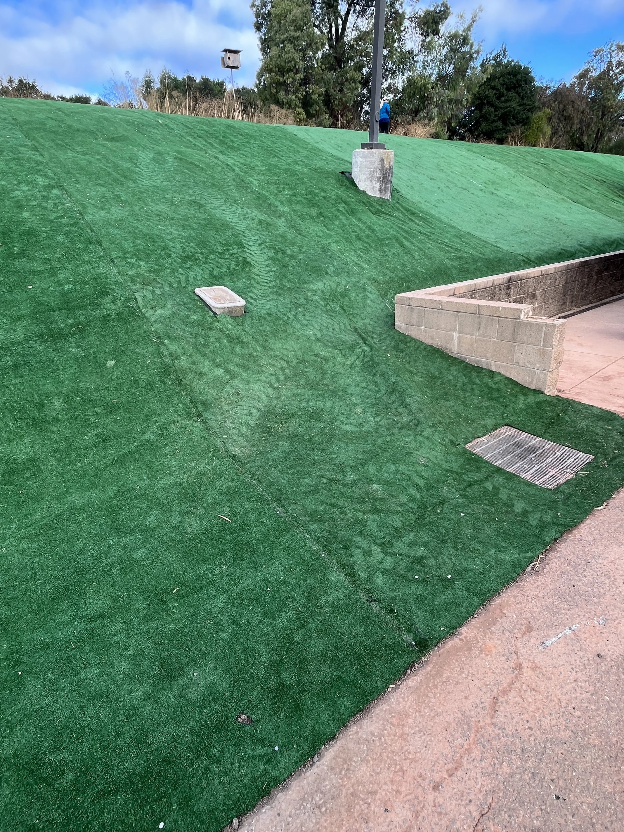 New 1B hillside turf