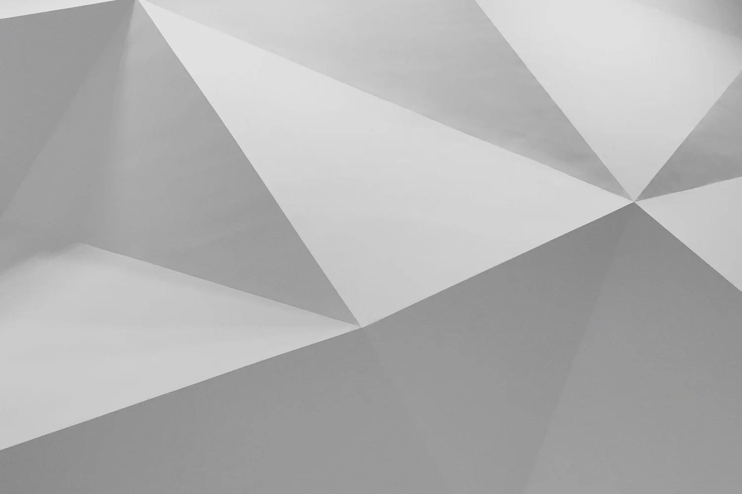 LA BELLA MARKETS intelligence overview