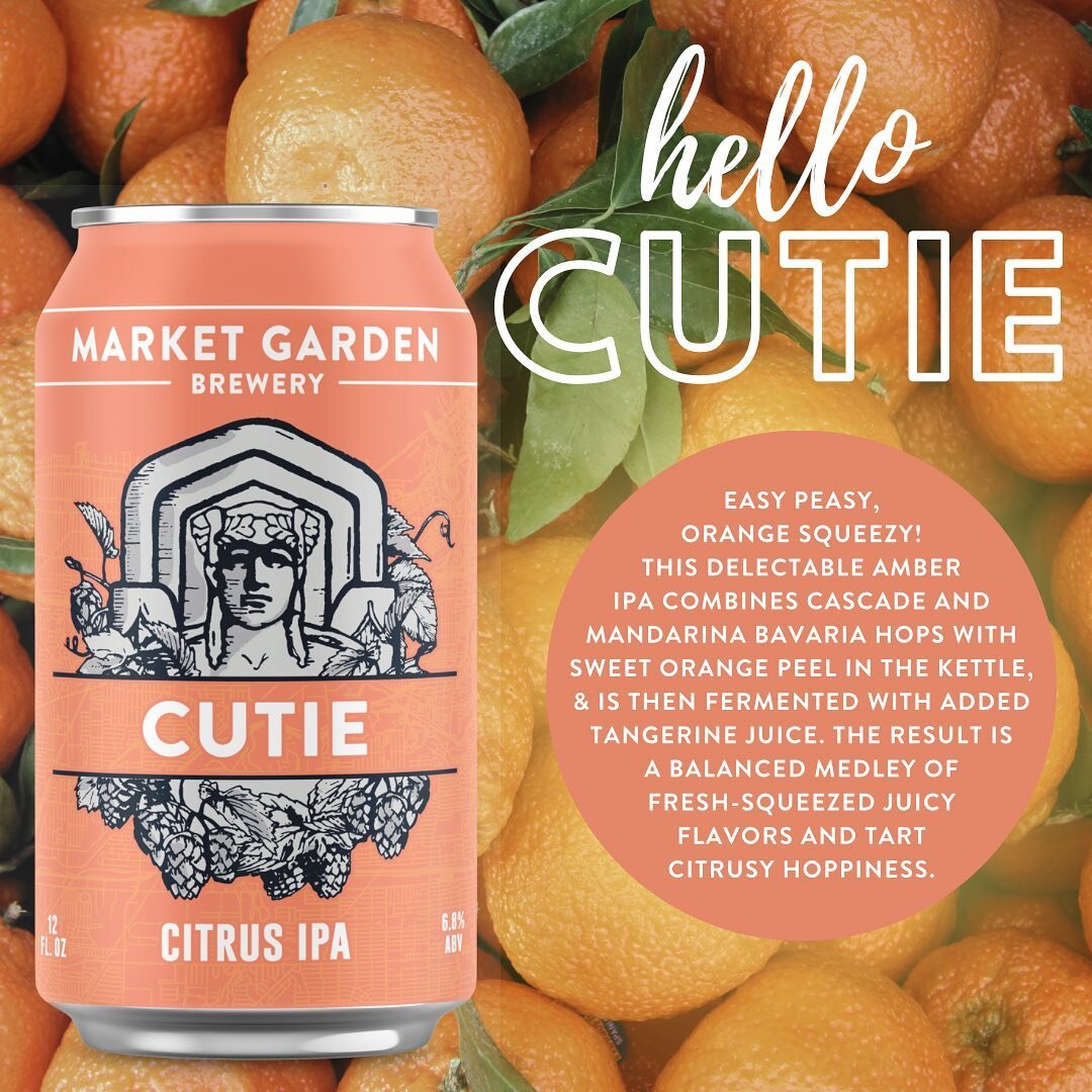 Hello cuties! We are so excited to announce we have a NEW seasonal Citrus IPA heading your way soon 🍻✨

Easy peasy, orange squeezy! This delectable amber IPA combines Cascade and Mandarina Bavaria hops with sweet orange peel in the kettle, and is th