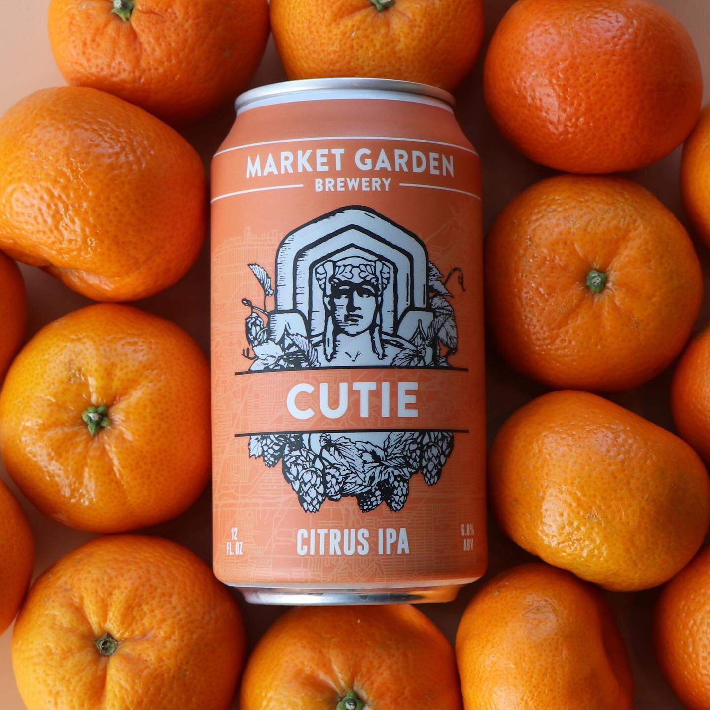 Cutie Citrus IPA is now available on draft at @marketgardenbrewpub plus 6-packs at the Brewery Store! Stop in and be the first to try our new seasonal brew🍻🍊 

#beerforpeople #marketgardenbrewery #ohiocity #ohiocraftbeer #drinkbeermadehere