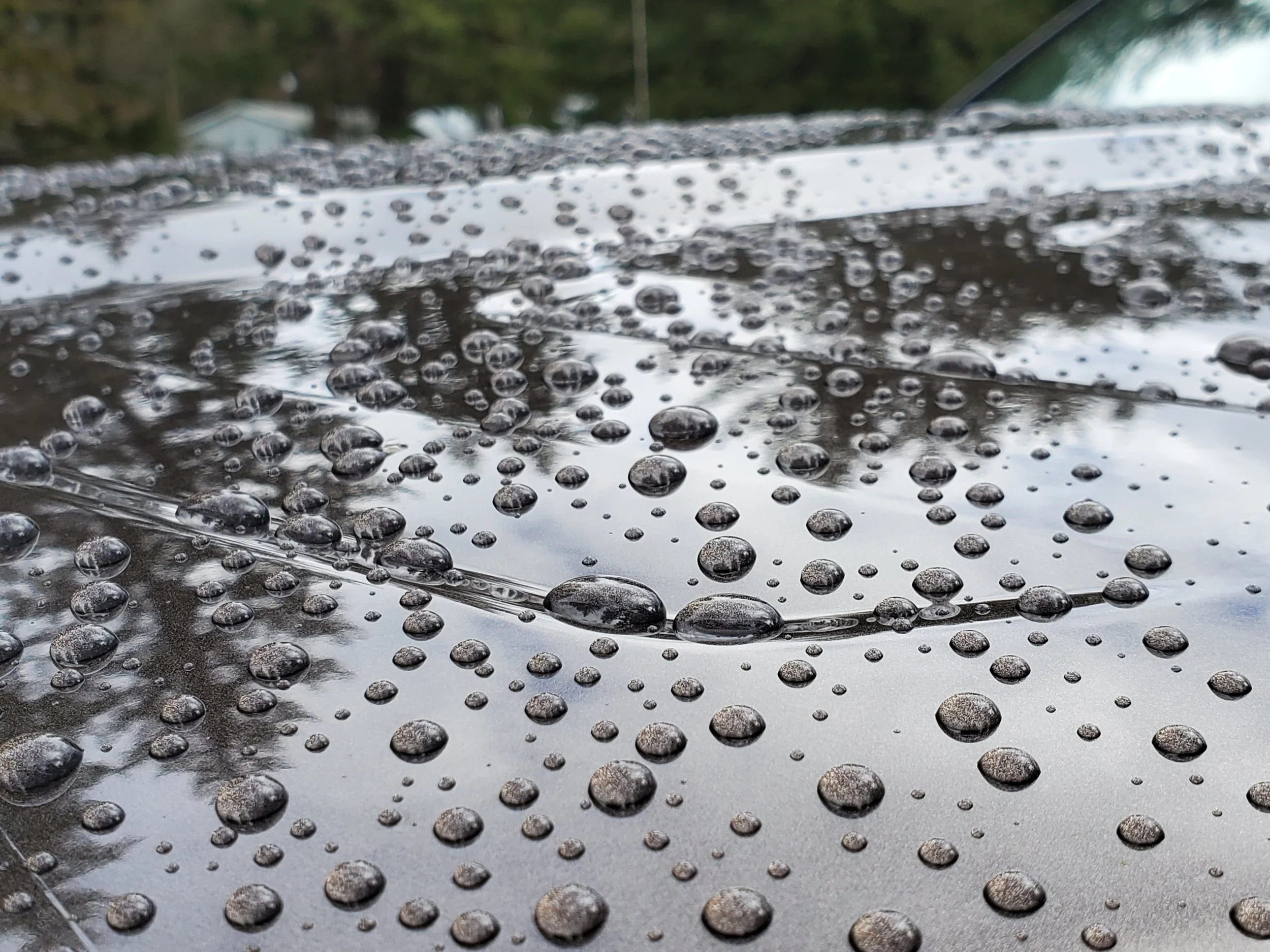 Ceramic Coating & Auto Detailing Specialist Portland, Oregon