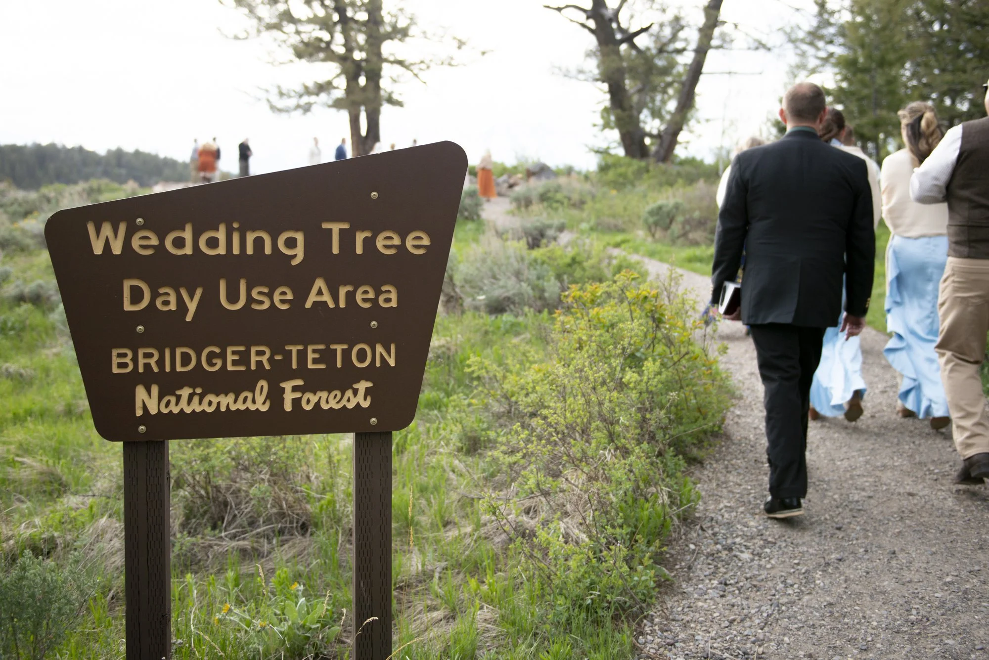 Grand Teton National Park Wedding Photographer Wedding Tree Photos