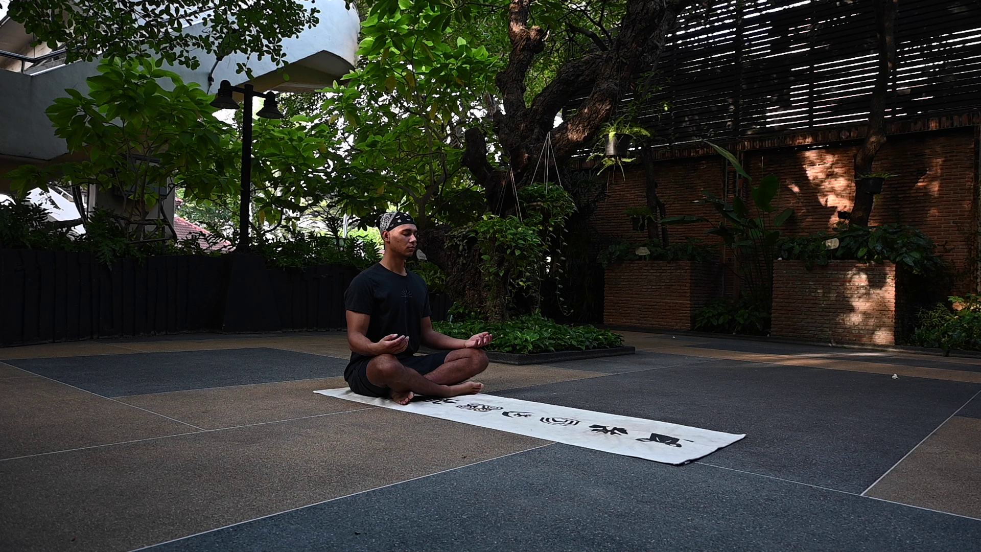 Discover the Power of Breathwork: Elevate Your Life to New Heights