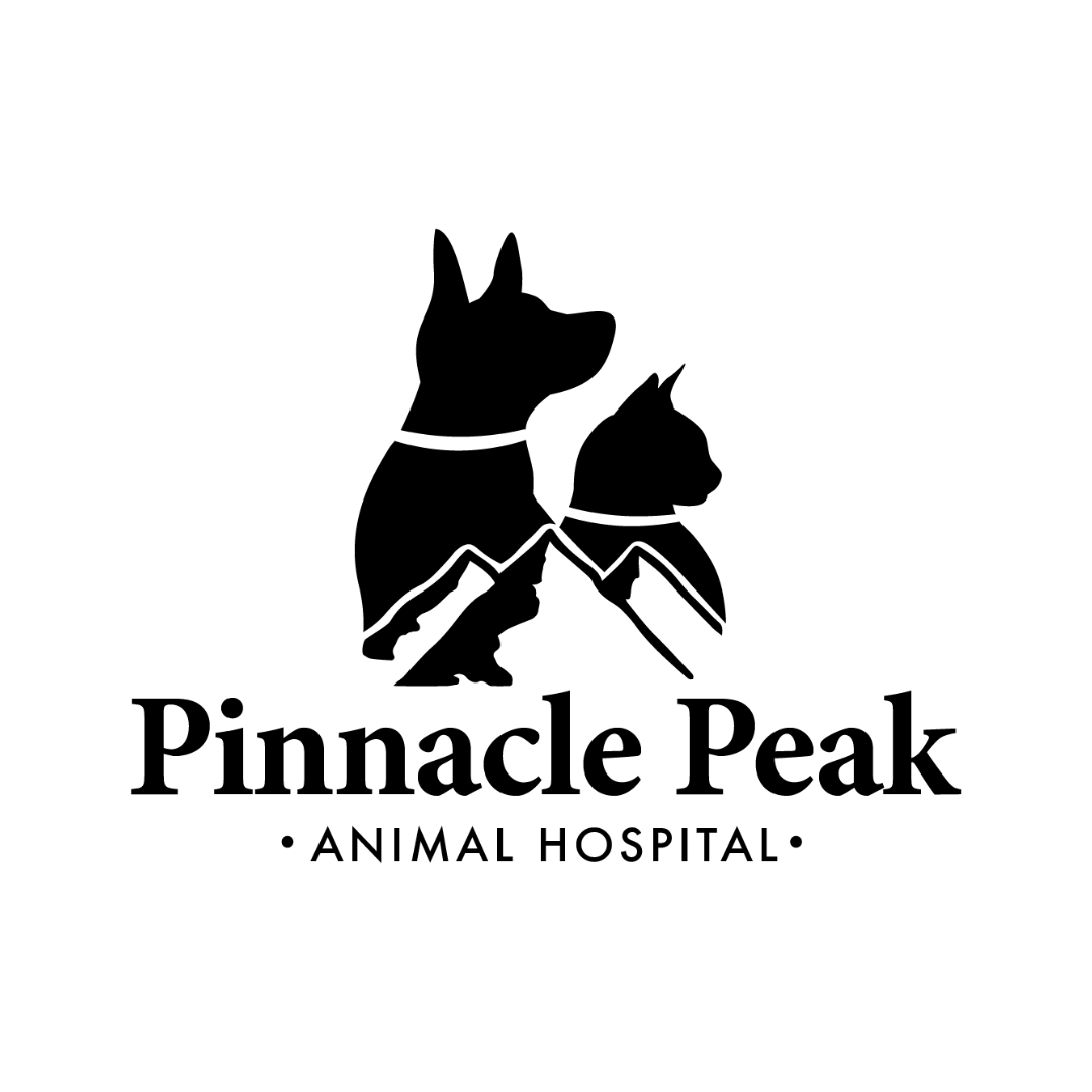 Untitled design-2.png