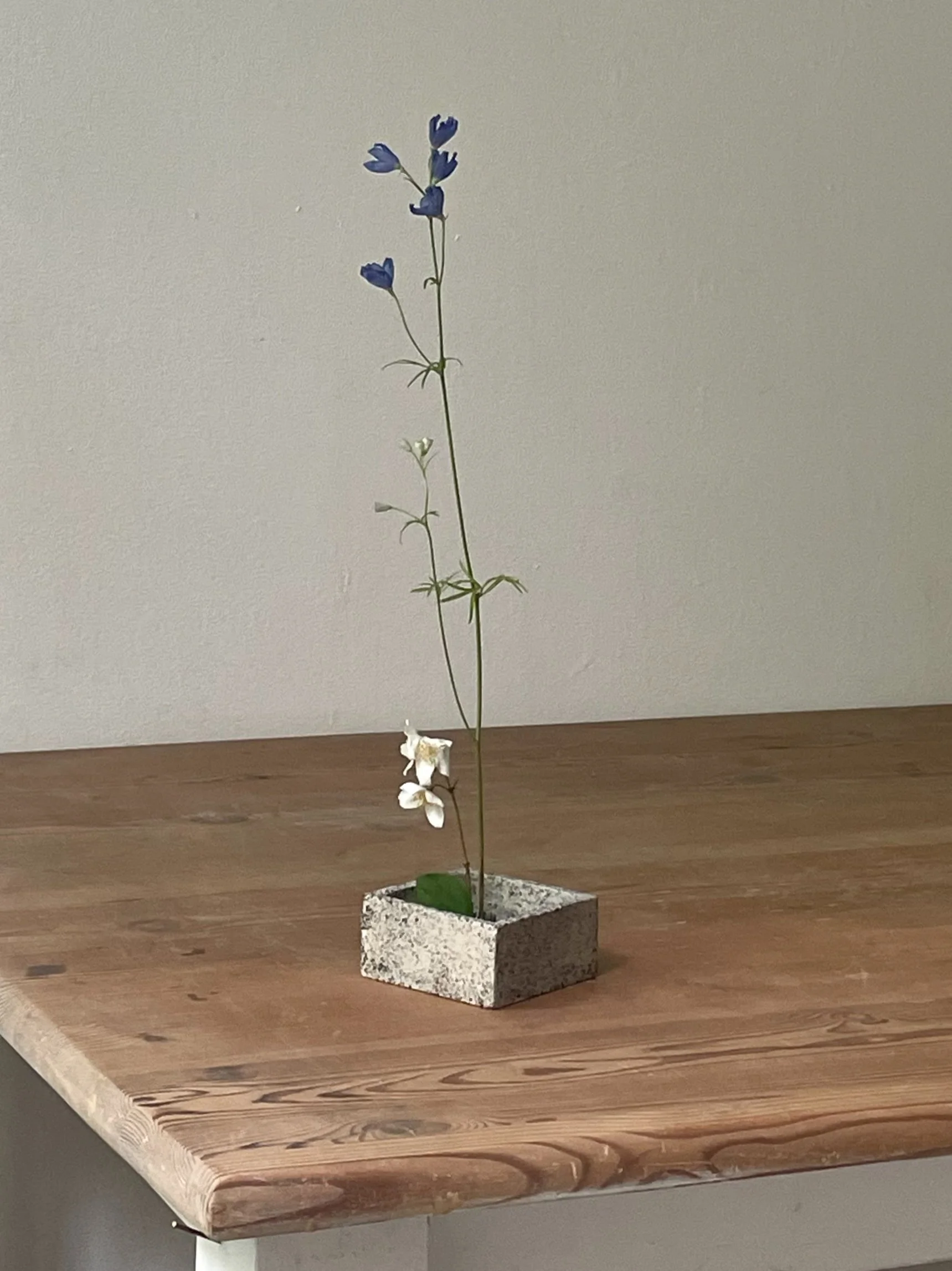 IKEBANA_BOX_01_wendytaylor_02 copy.jpg