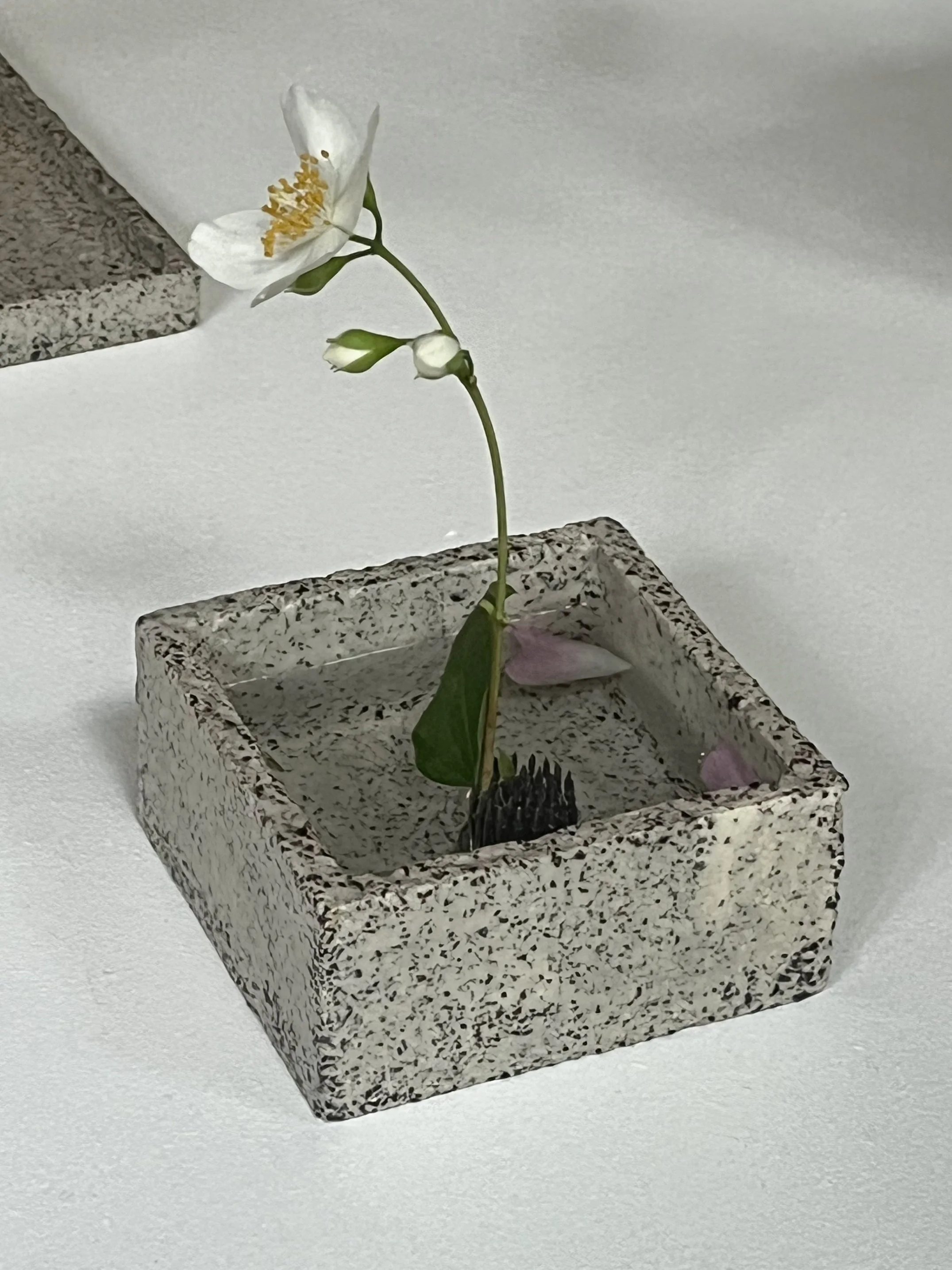 IKEBANA_BOX_01_wendytaylor_01.jpg