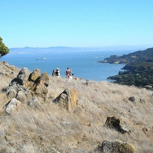 AWA - Aikido Of Tamalpais Friendship Training
