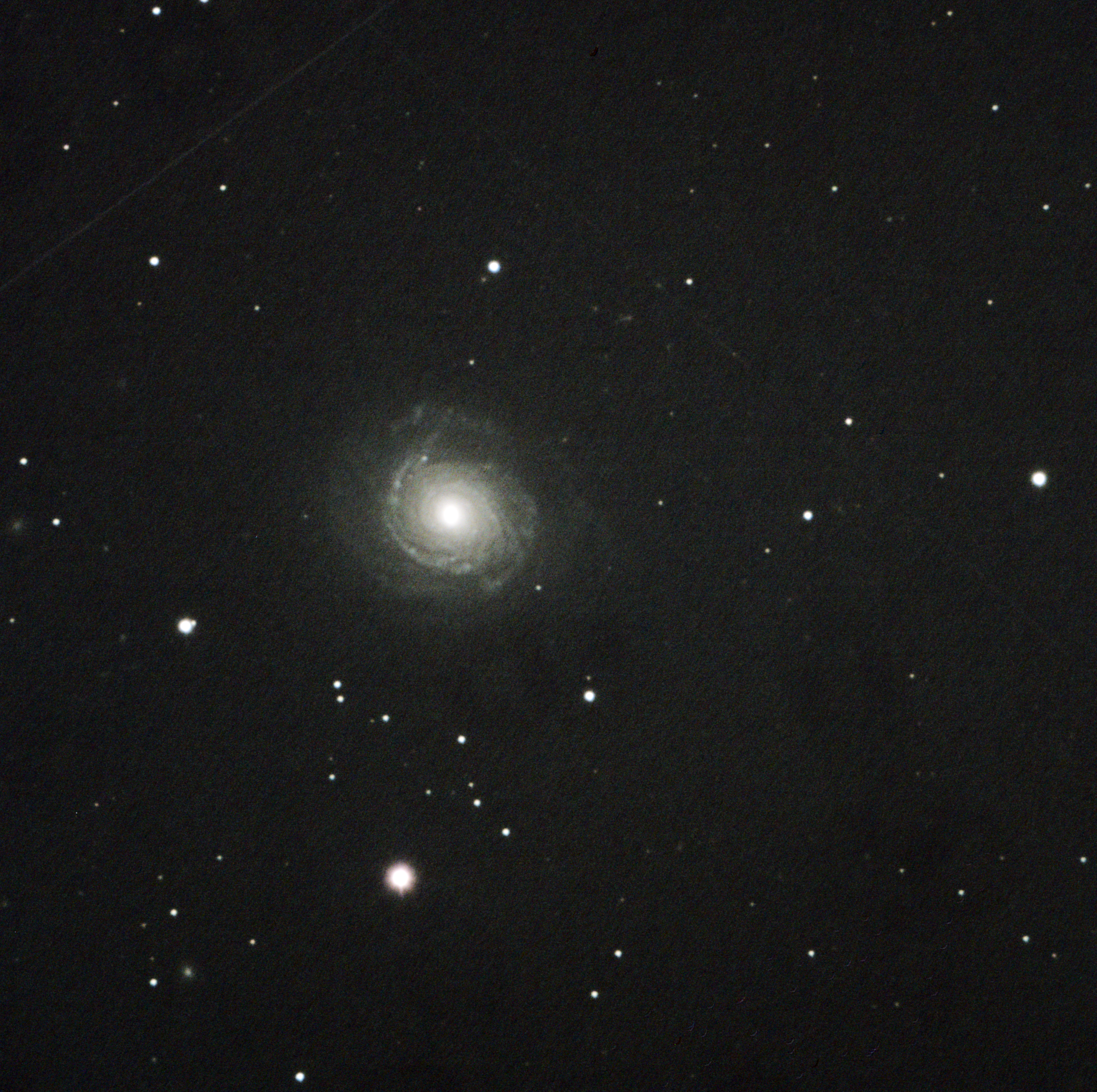 NGC3147 unbarred spiral galaxy