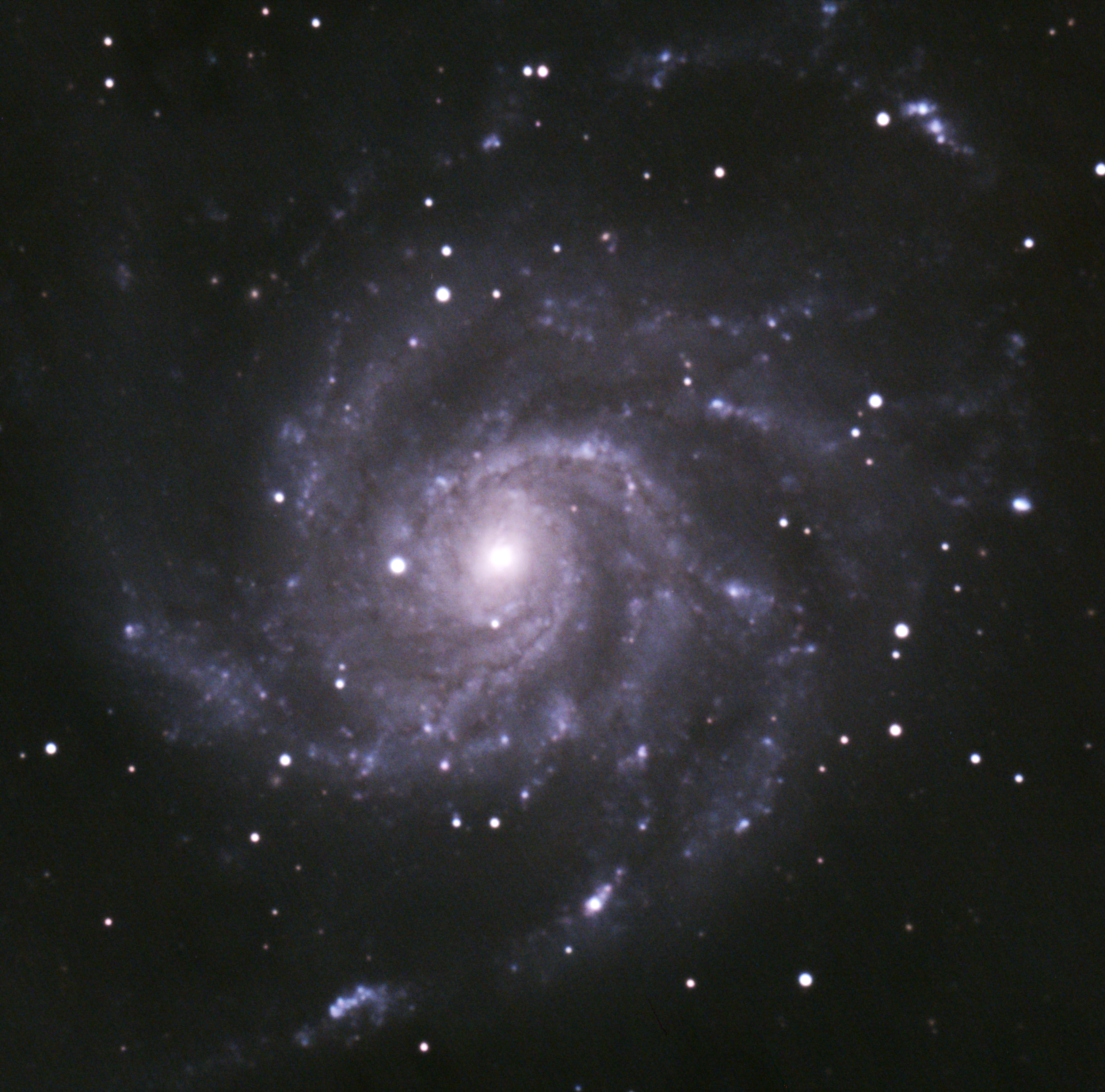 M101 Pinwheel Galaxy