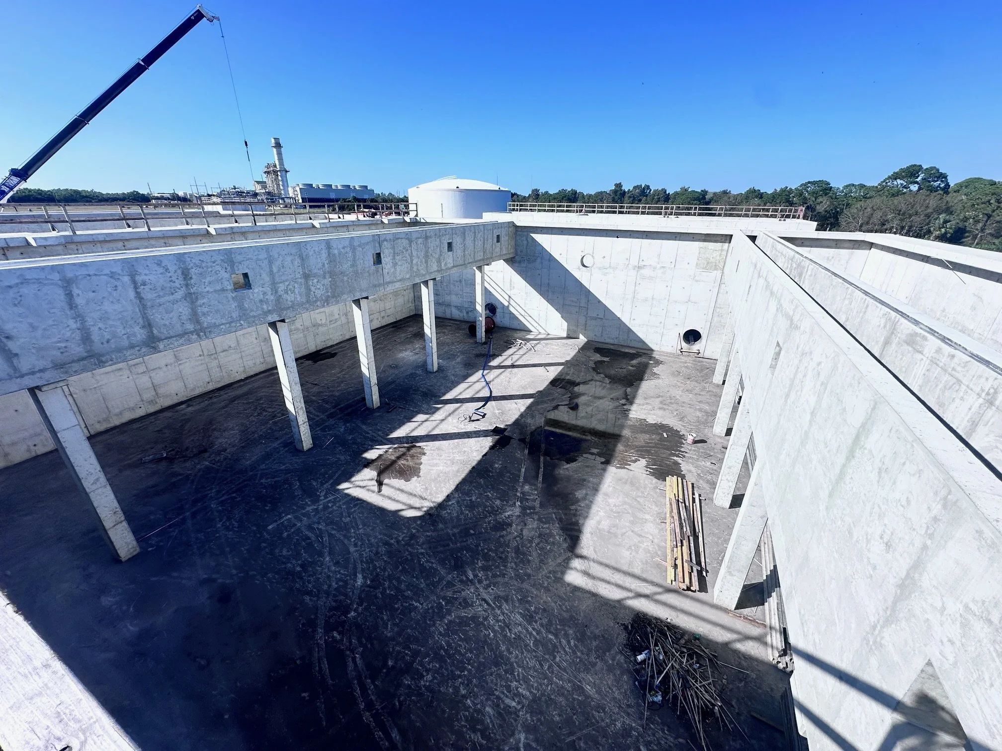 Nereda interior.jpeg