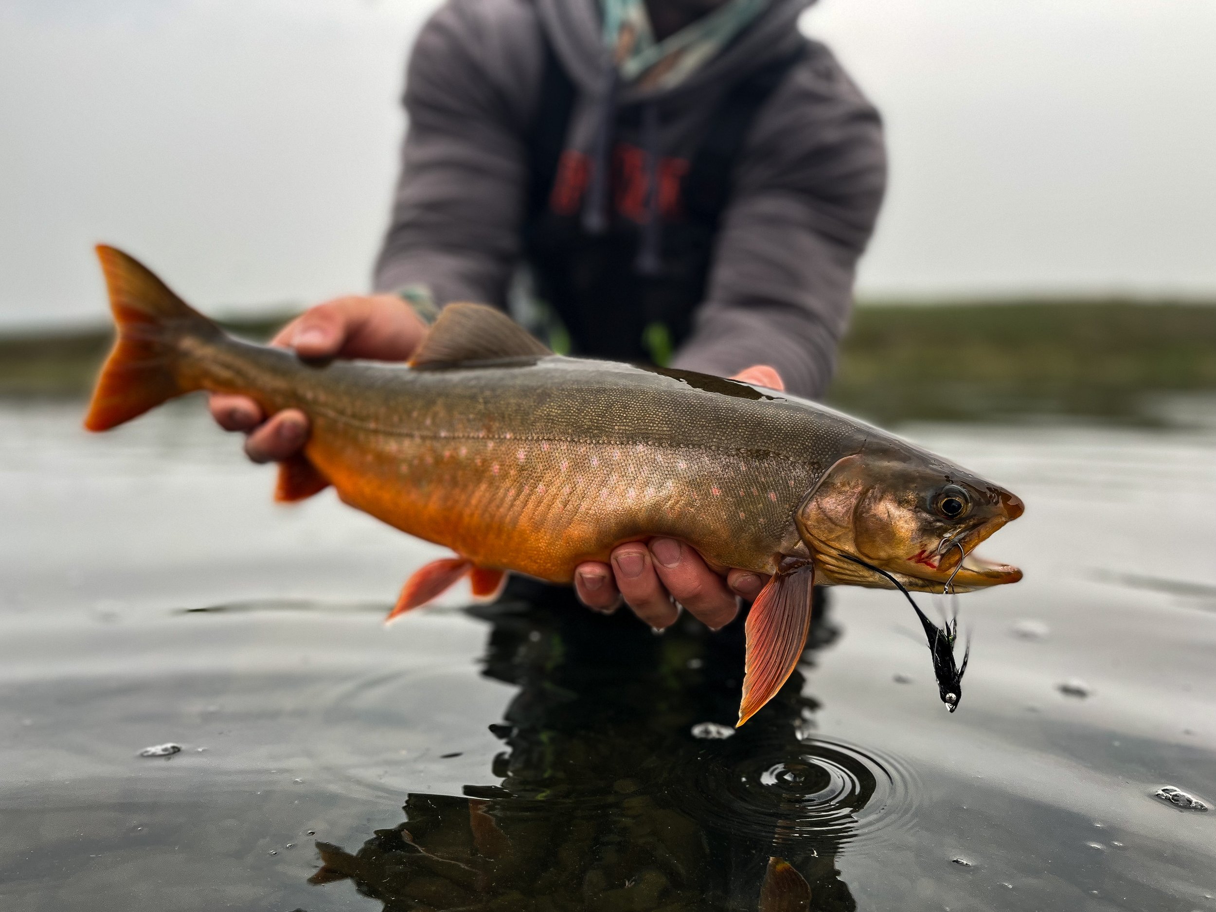 Ep 173: Fishing Interior Alaska, with Oliver Ancans