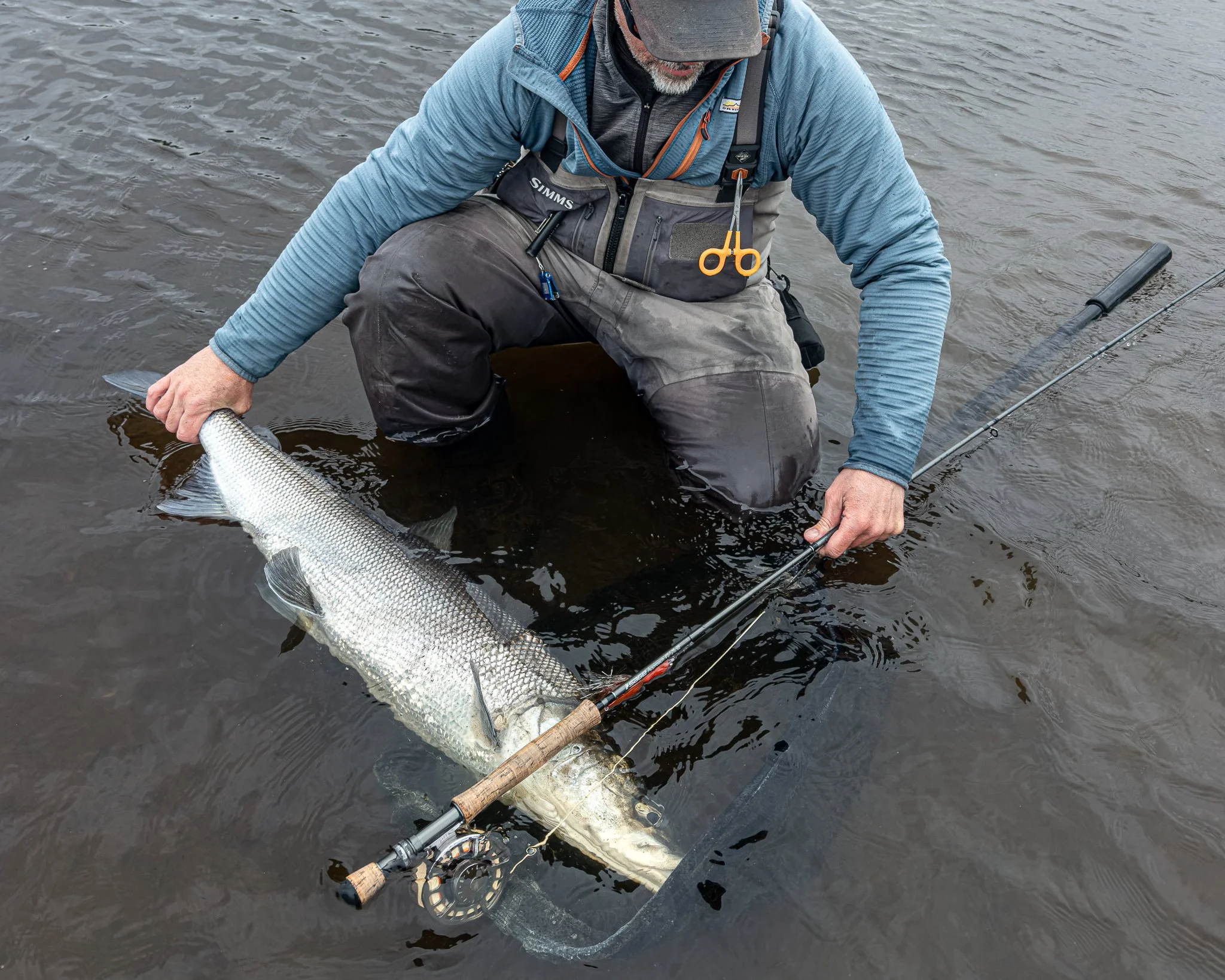 Ep 185: Fishing for Sheefish and the Ambler Road, with Greg Halbach