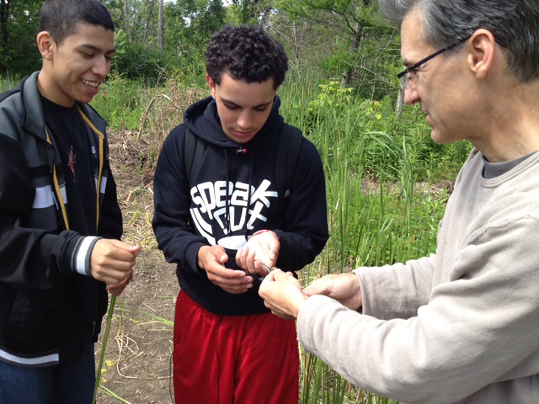 Learning from a snake, Menomonee Valley