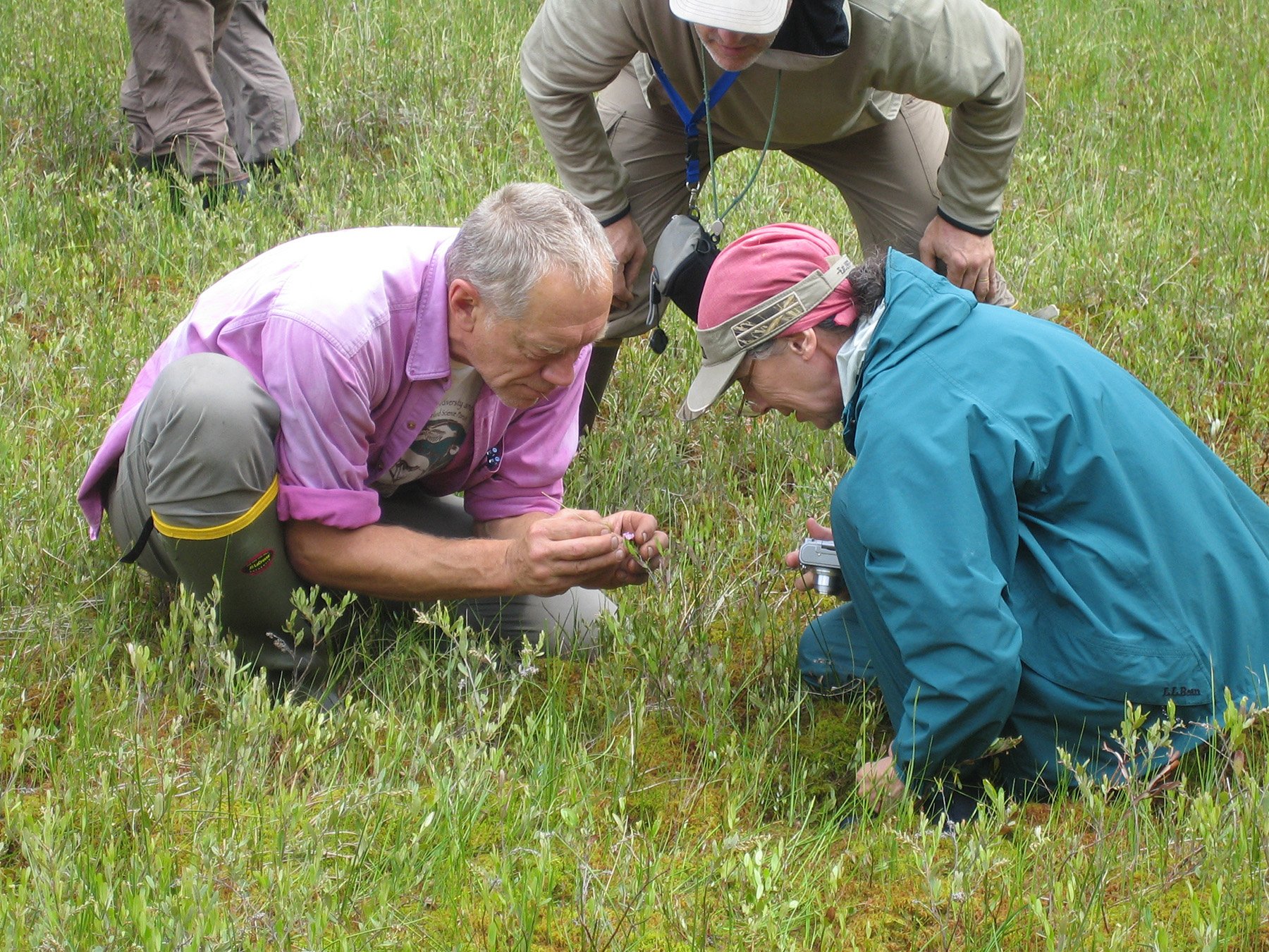 With Jim Reinartz (and Alice Thompson), Vegetation of Wisconsin Workshop