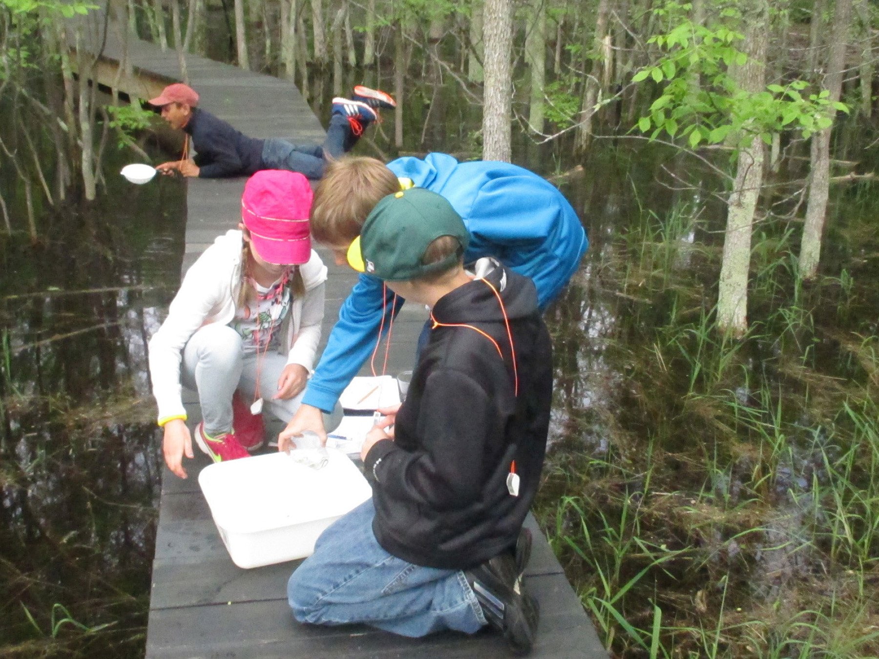Wetland discovery with 4th-graders
