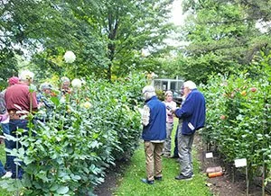 “Trial Garden” Judging Seminar at the Miners