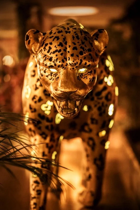 Jaguar at Lou Lou's Jungle Room at the Lafayette Hotel in San Diego, CA