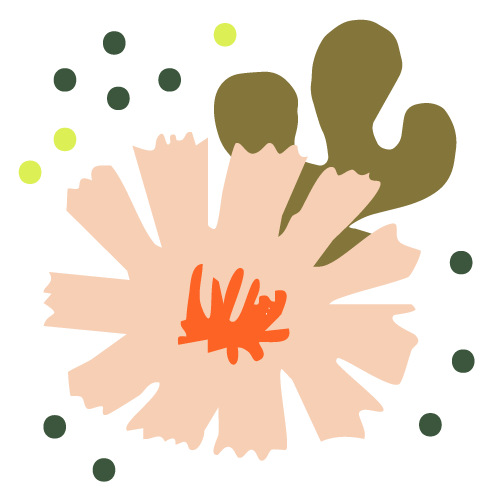 Image of a flower