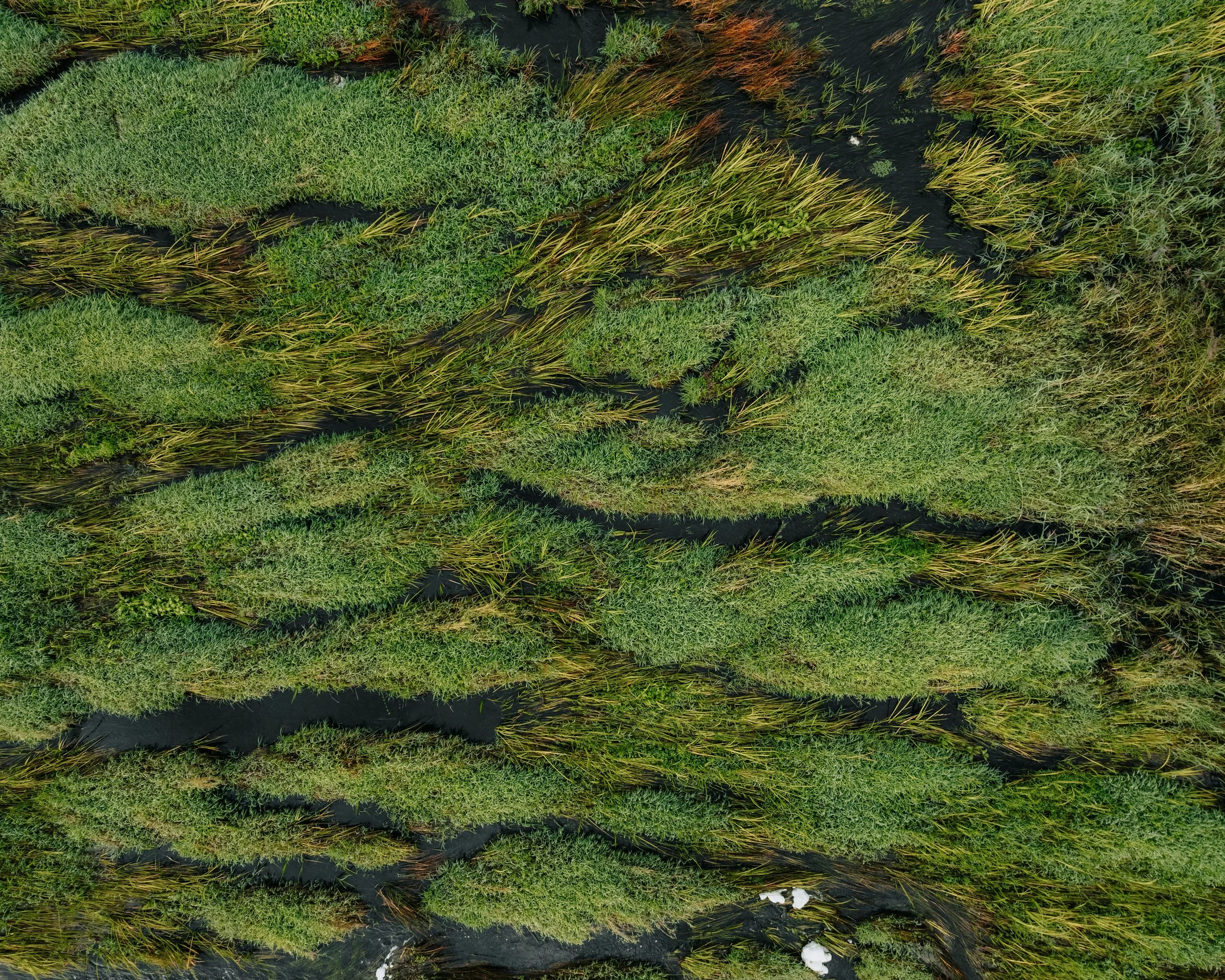 An aerial view of marshland with patches of green wetlands and narrow water channels.