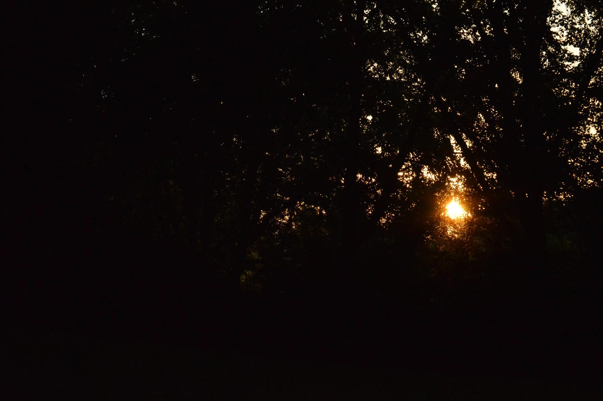 Reflections on The Golden Hour at Phalen Park 