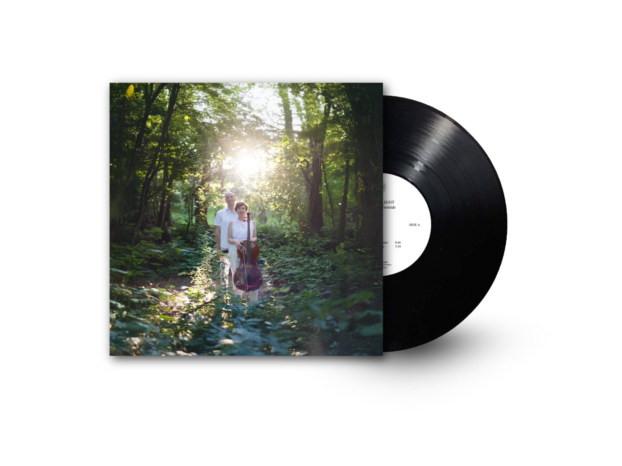 New track: Losing Leaves &amp; Pre-Order Visible Light’s debut album!