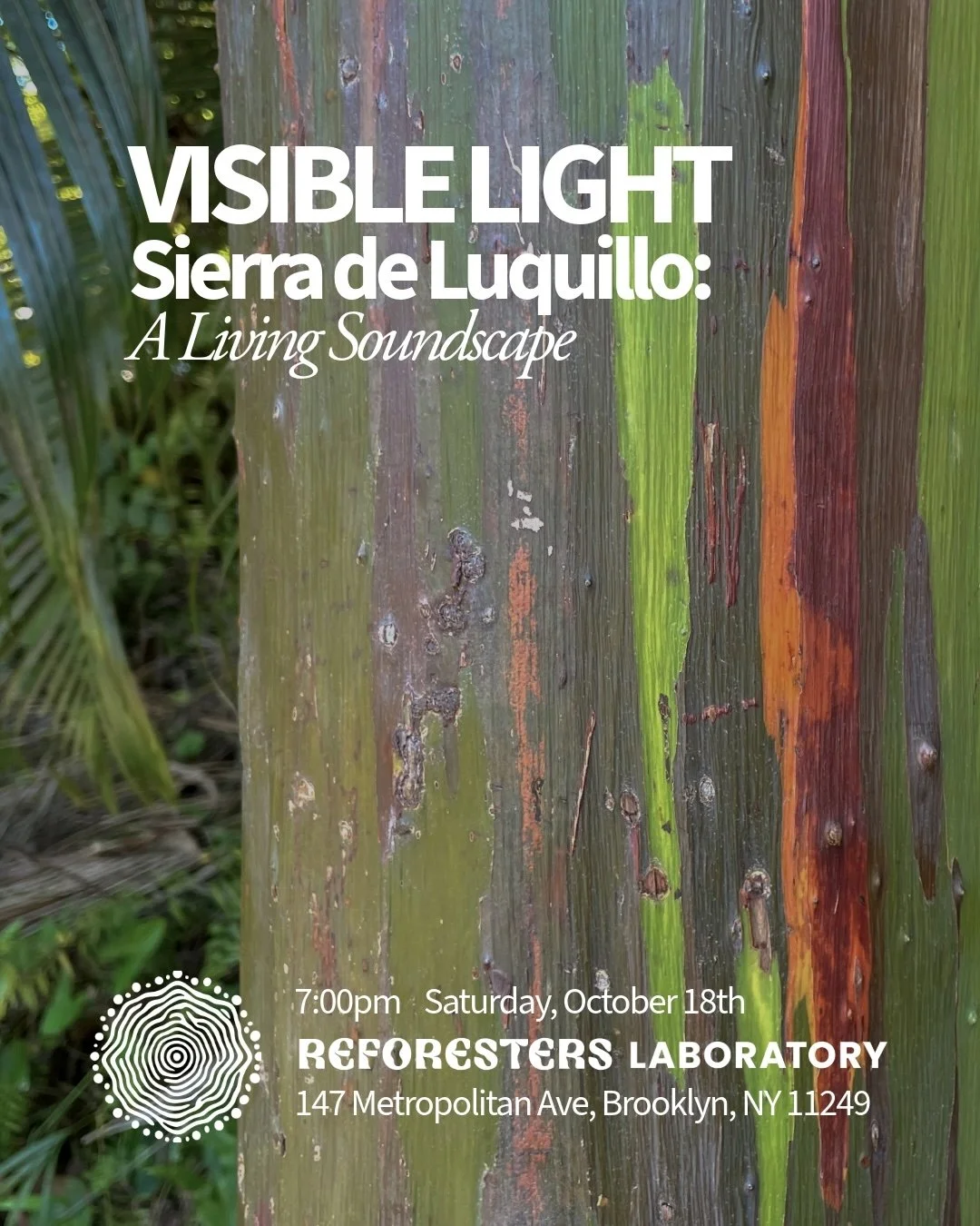 Sierra de Luquillo: A Living Soundscape | October 18th Brooklyn, NY