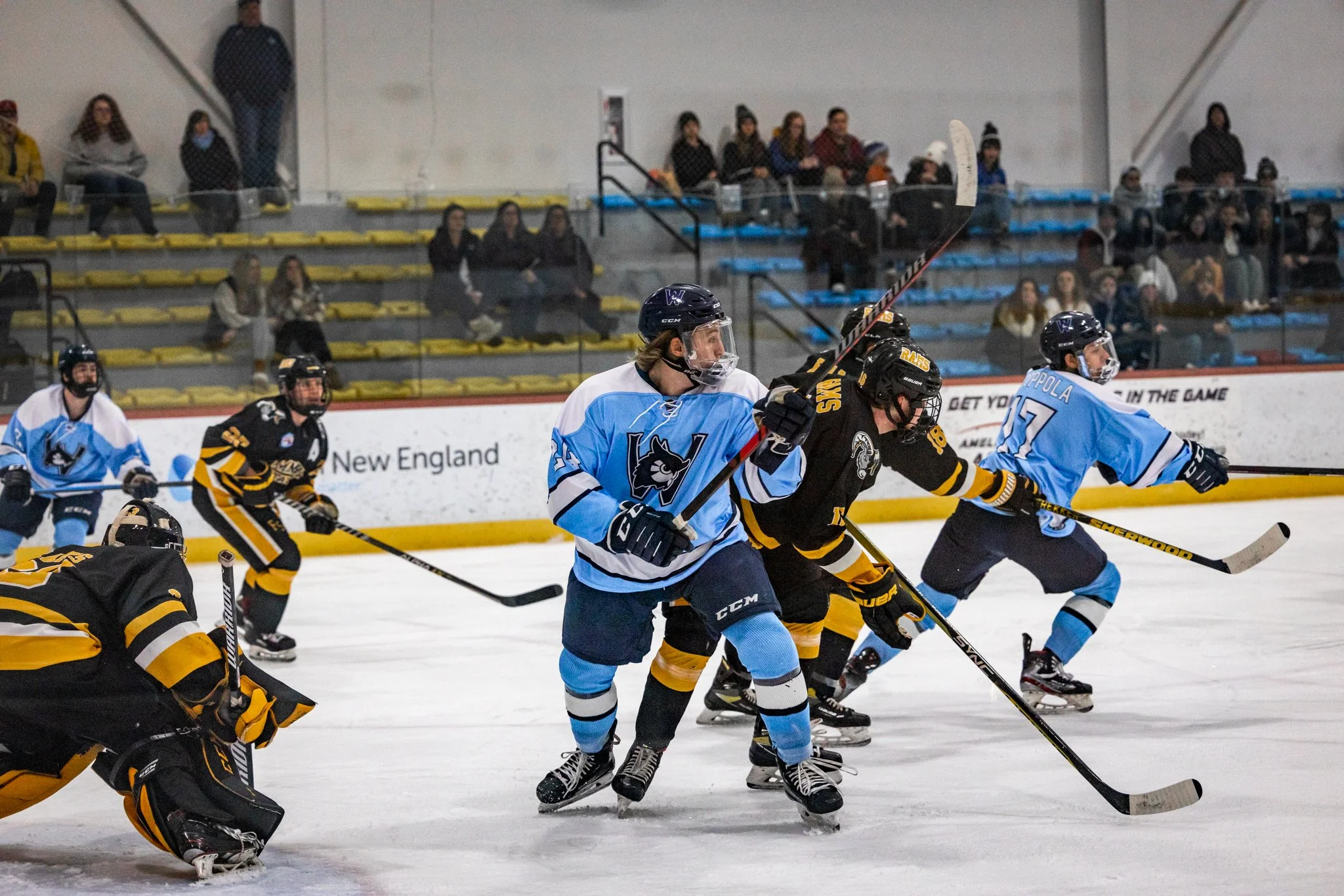 6V3A9329-2.jpg
