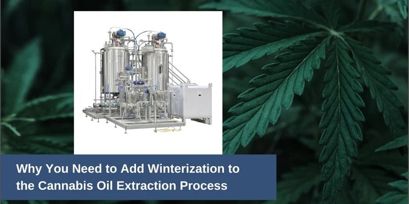 Cannabis oil extraction equipment with text about winterization process on cannabis leaf background.