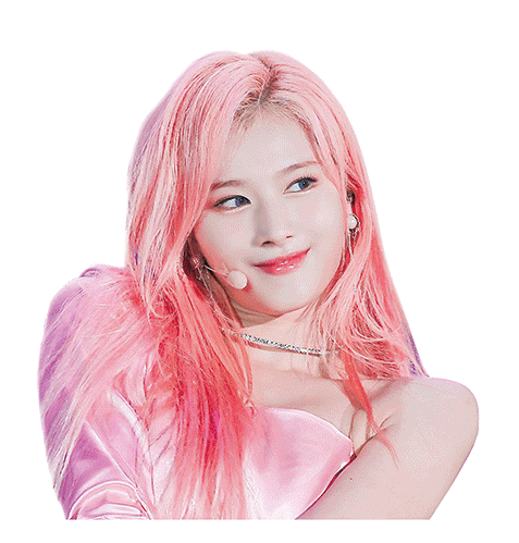 Twice Motion Sticker