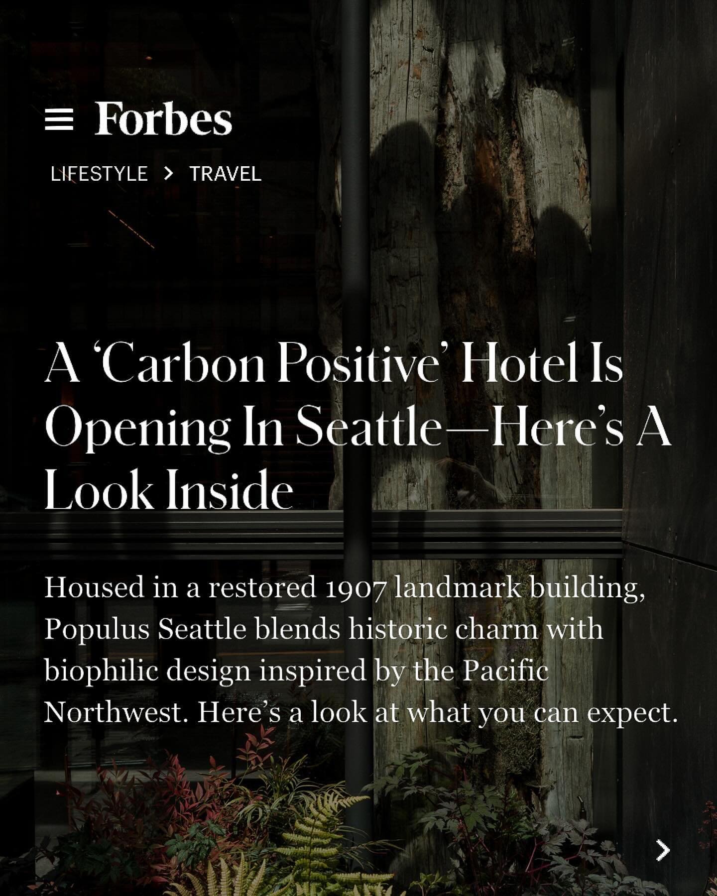 From our very first site visit four years ago, we knew this project was something special. Today&mdash;after countless design iterations, workshops, site visits, and meetings with Disco 🐶&mdash;we&rsquo;re beyond proud to be part of the team that br