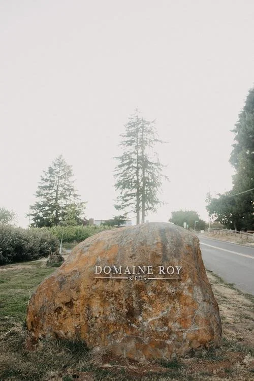 EarthyWineElopement_DavidAnnPhoto-0703.jpg.jpg