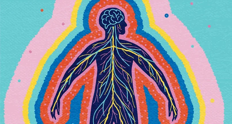 What is Polyvagal Theory and How Does It Help Us to Understand Trauma?