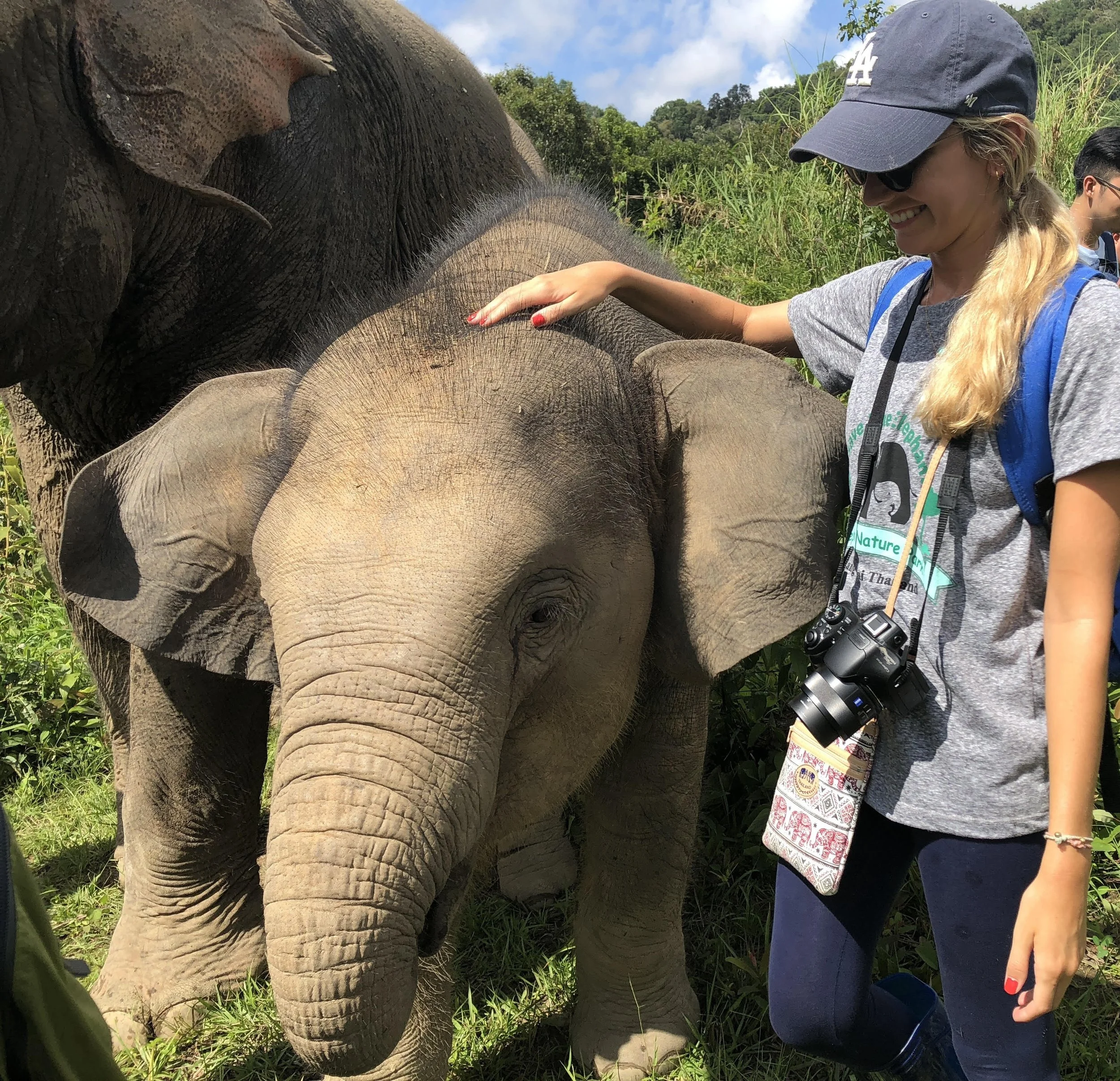 EMDR therapy for trauma healing in San Diego and California