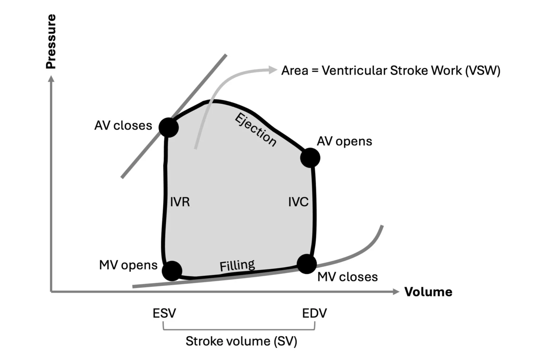 Papi Rv Calculation #41 Cardiogenic Shock — Critical Care Time