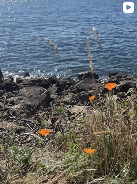 Screenshot 2025-11-13 at 10.41.12 PM.png