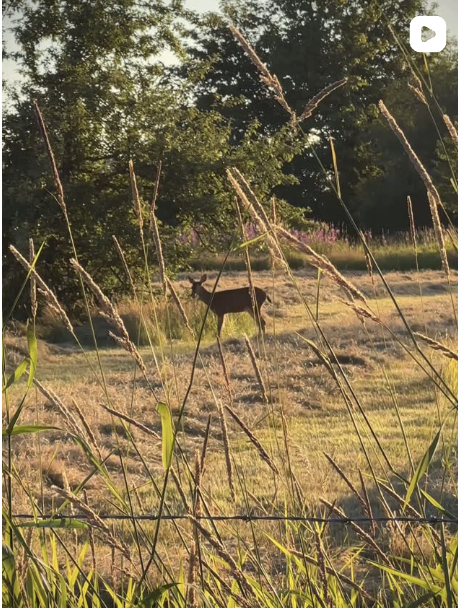 Screenshot 2025-11-13 at 10.41.05 PM.png