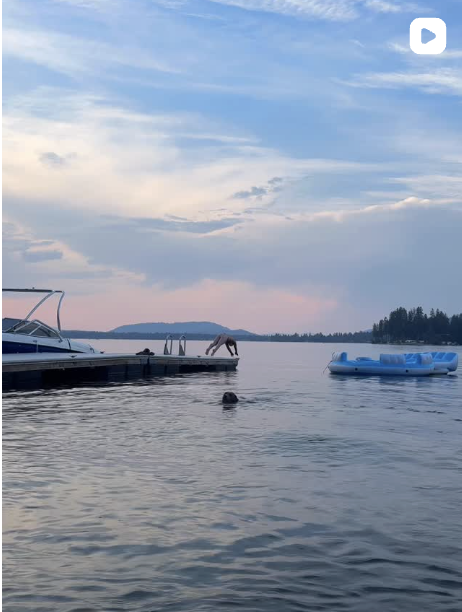 Screenshot 2025-11-13 at 10.40.53 PM.png