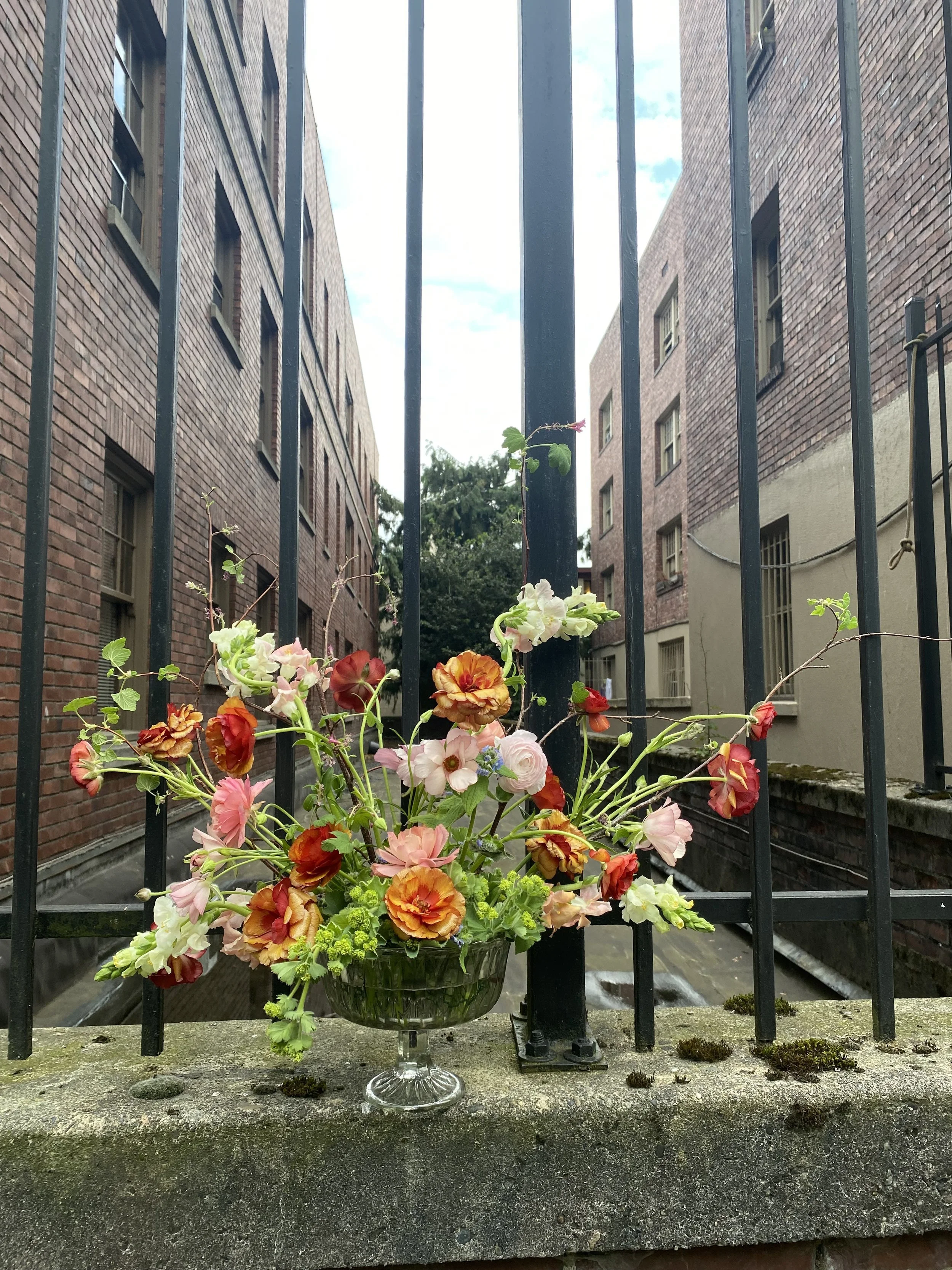 photo by Cassandra Solmonsen