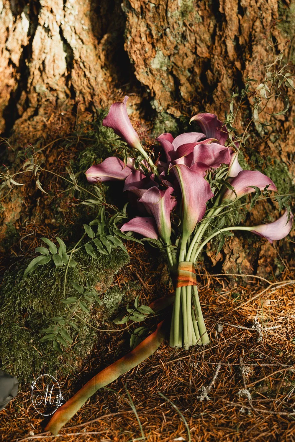 Copy of Summit Lake Adventure Elopement-7655.jpg