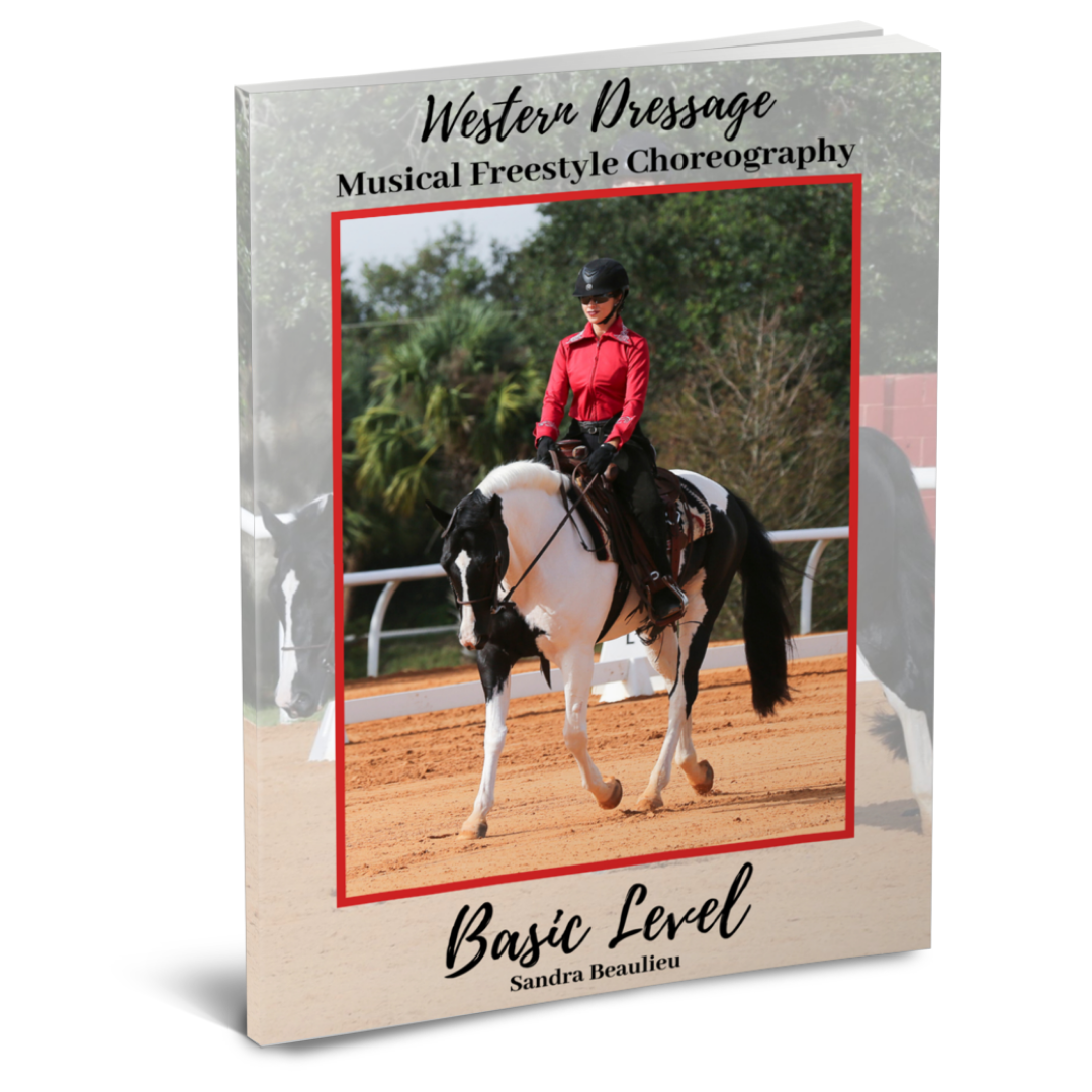 Basic Level Ebook Cover square.png