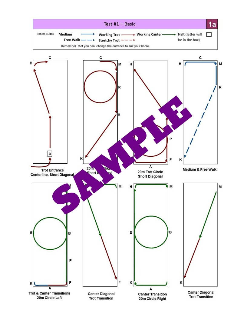 Training+Level+Basic+1+Sample.jpg