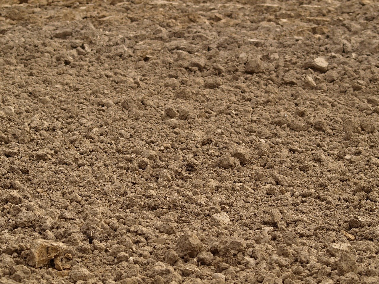 Soil report and feature survey